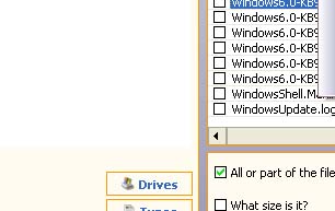 Recover Files Drives Button